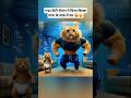 Baby Cat Ko Mitti Me Khelne Ka Junoon Aur Billa Papa Ka Gussa Catstories Funnycats