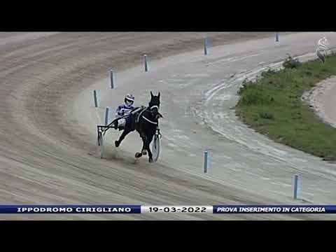 Aversa trotto 19 Marzo 2022 - Prova di inserimento in categoria