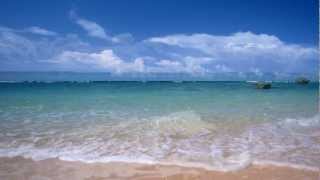 Bliss - Wish You Were Here