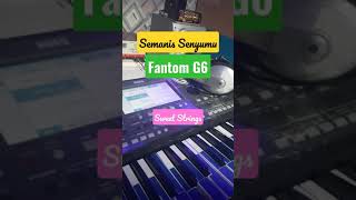 Download lagu VOICE STRING YANG MANIS - KORG Pa600 / Pa700 / Pa300 #shorts mp3 Download lagu VOICE STRING YANG MANIS - KORG Pa600 / Pa700 / Pa300 #shorts mp3