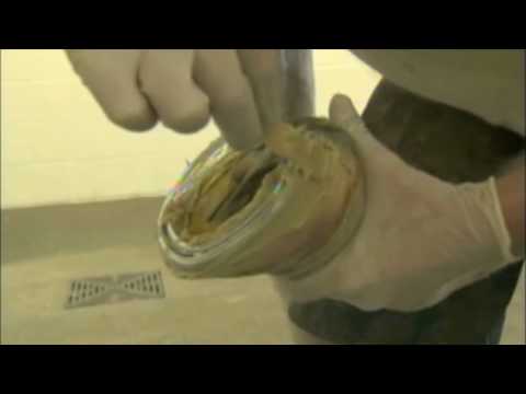 Slide 4 - Equilox Dispensing Gun For 420ml  (video)