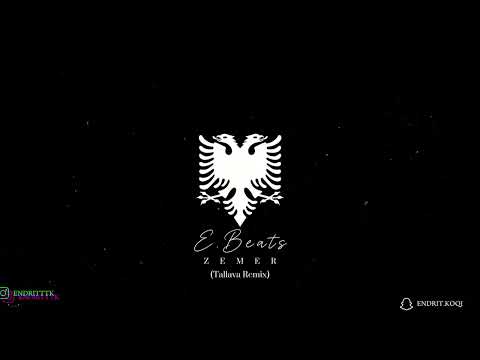 Endritbeats x Dafina x Ricky Rich - ZEMER (Tallava Remix) 🔥