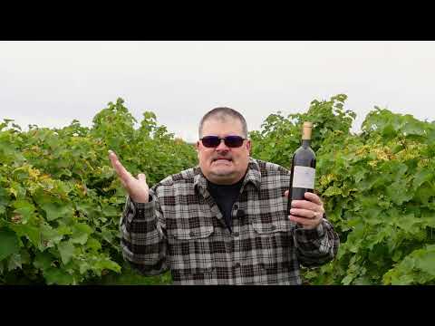 Le Mortelle 2018 Poggio alle Nane (Italian Wine)