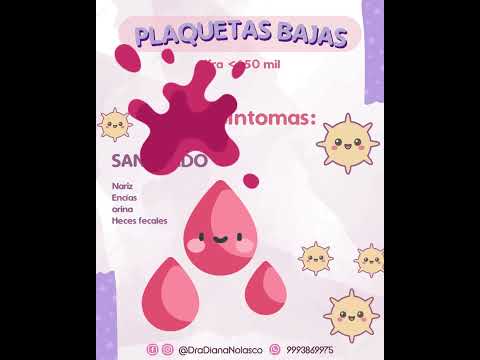 Diana Nolasco Medina-24