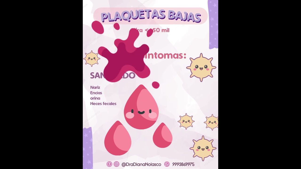 Diana Nolasco Medina-24