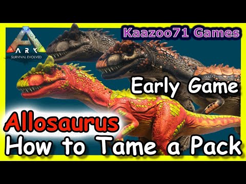 How to Tame an Allosaurus Pack Early Game Ark 💥
