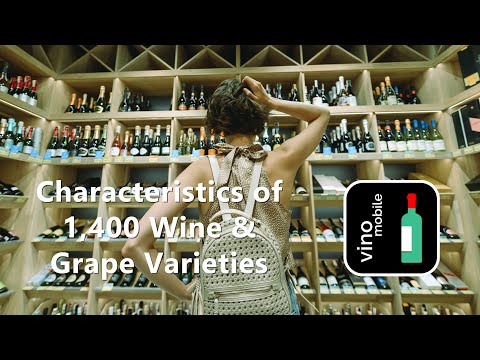 Wine Profiles & Vine Varieties