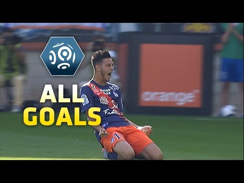 Goals compilation : Week 8 / 2015-16