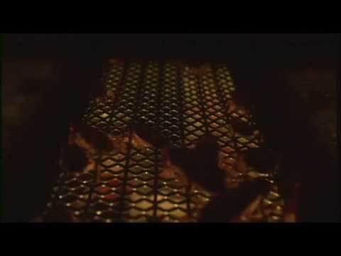 3D Pestcontrol 2014 - Cucarachas periplanetas en una casa.