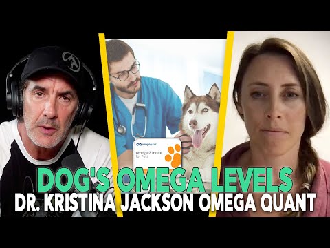 The Health Benefits of Fish Oil For Dogs - Episode 88