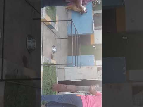 Satwik in  Krishna Patnam port dog show respect