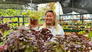 Found the coolest most unique plants…and I bought them.