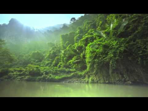 Doobious & Bazooka // Kuimba