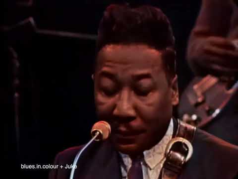 Muddy Waters - Mojo Working live [Colourised] 1966