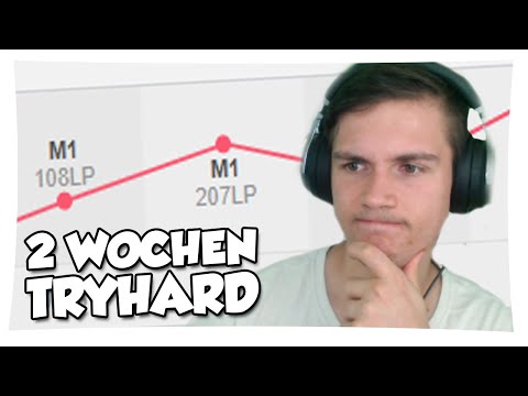 Mein erstes Fazit nach 14 Tagen Projekt Grandmaster