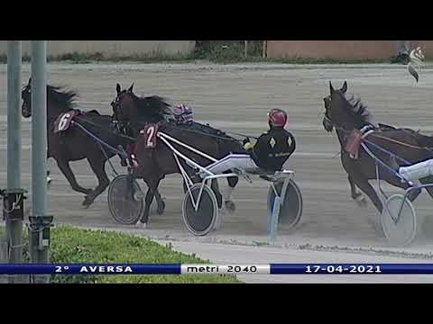Aversa trotto 17 Aprile 2021 - 2° Corsa