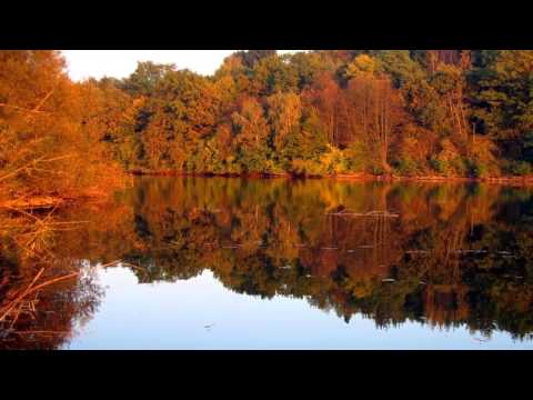 Euge Groove - House Of Groove (2012) - Indian Summer