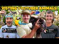 Visiting EVERY EXOTIC Animal YouTubers House EPIC PETS