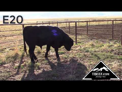 WT826 - ASAID: 3244392