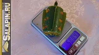 Тест на фидере с прикормкой или без