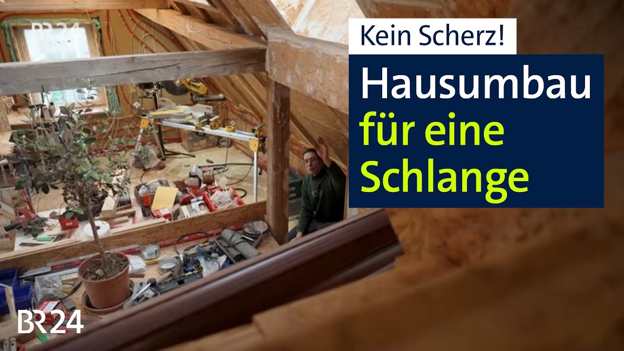 Gefährliche Tierliebe? Ein ganzes Haus für eine Schlange umgebaut | Abendschau | BR24