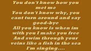 Uncle Kracker follow me lyrics