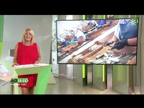 🎥 Andalucía Directo visita nuestra fábrica en Isla Cristina | USISA