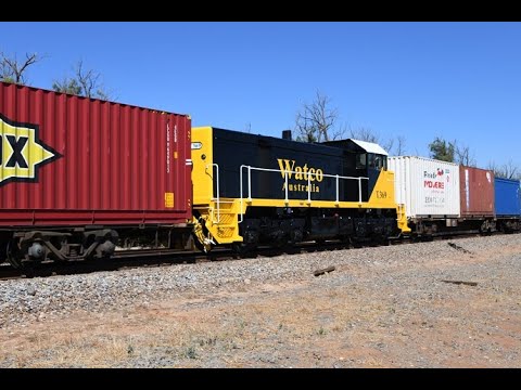 Pacific National 1MP2 NR74 NR42 NR116 Wagons then Watco's newly painted T369 near the rear 20/12/21