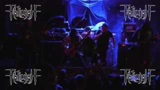 FALLUJAH "Cerebral Hybridization" live on CAPITALCHAOSTV.COM