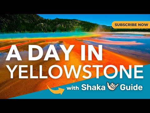 A Day in Yellowstone National Park!