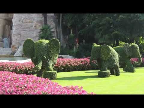 Vokalni Kvartet Predraga Ivanovica: Sećaću se Aprila I`ll remember April