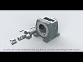 WANSHSIN Helical Inline Gear Motor Structure