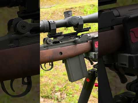 Springfield M1A - The King of Battle Rifles