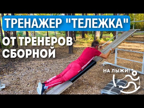 Лыжи Тренажер «Тележка» — инструкция от тренеров сборной!
