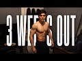 3 WEEKS OUT - PHYSIQUE UPDATE - FLEXING & POSING
