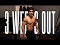 3 WEEKS OUT - PHYSIQUE UPDATE - FLEXING & POSING