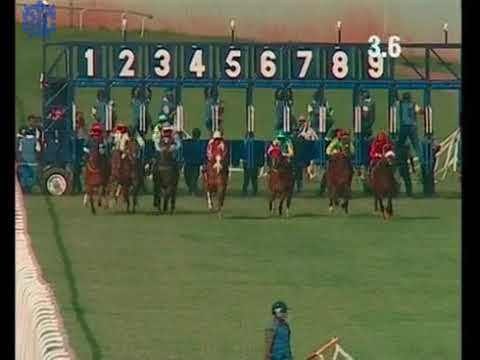 Shivalik kiss with Shobhan Babu up wins The Kranji Plate Div 1 2019