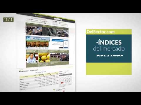 DelSector.com (MARTIN G. LALOR S.A.- 500 vacunos - Rauch (Bs As))