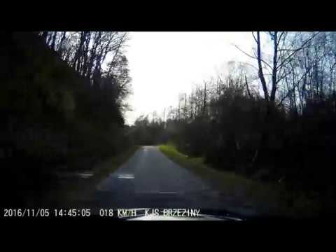 ONBOARD - Super Oes Brzeziny -  Bogdan Wiśniowski / Mateusz Wiśniowski - Renault Clio