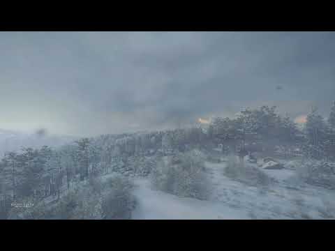 Snowy Forest Ambience for Sleep, Study, Relaxation