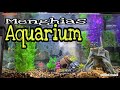 Rutinitasku di Amerika | Bersiin Aquarium & ganti ikan Rutinitasku di Amerika | Bersiin Aquarium & ganti ikan
