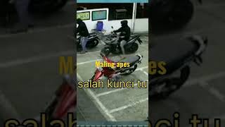 Download lagu Maling apes, bikin ngakak|| video lucu pojok humor mp3