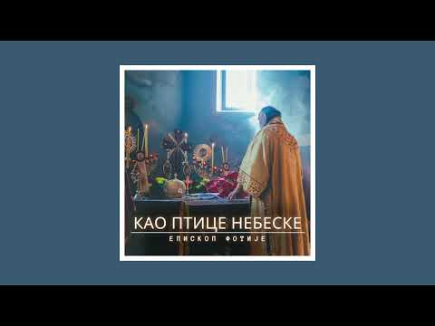 Митрополит Фотије - КАО ПТИЦЕ НЕБЕСКЕ (2025) [вокал - протођакон Ненад Новић]