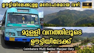 Tnstc Ooty Trip | Via Mulli Forest | Coimbatore To Ooty | Beautiful Route #ooty #mulli #coimbatore