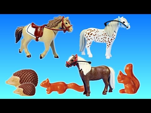 PLAYMOBIL Country Horse Pony Farm Animals Building Set Build Review
