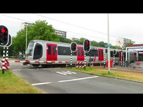 [Rotterdam] SG3 - Schenkel