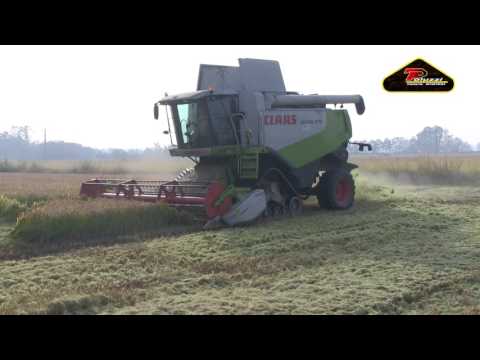 CLAAS LEXION 570 ULTRON