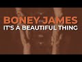 Boney James - It's A Beautiful Thing (Official Audio)