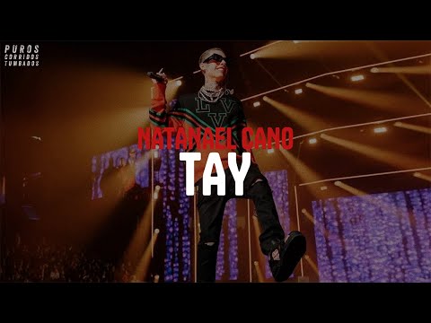 Natanael Cano - Tay (letra)
