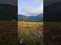 The Greenery And The Hills Mikezulu Tamilnadu Solo Travelling